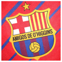 Amigos de Ohiggins